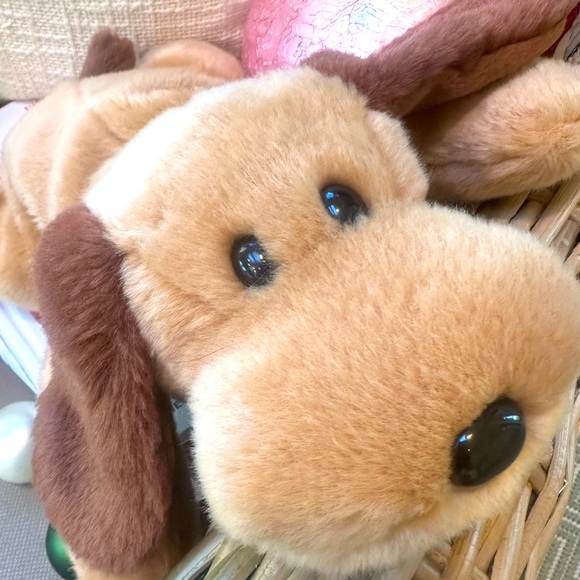 Ty Other - Tye Beanie Babies Original Dog “The Dog” From The Beanie Buddies Collection NWOT